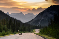 Kananaskis Landscape